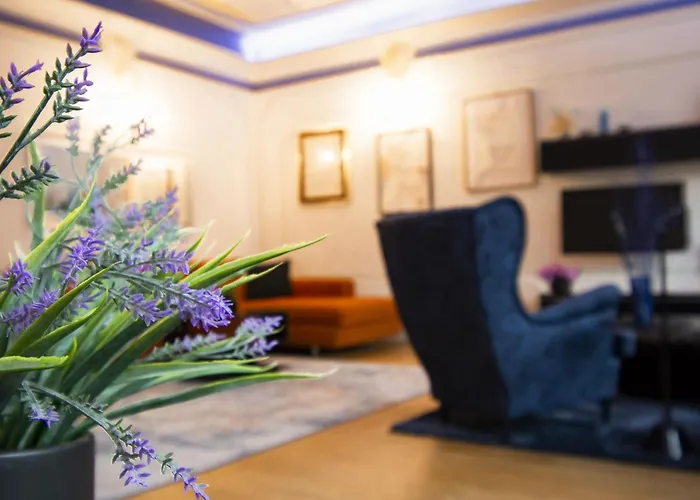 Apartment Bellevue Palazzo Pitti By Interhome Florence